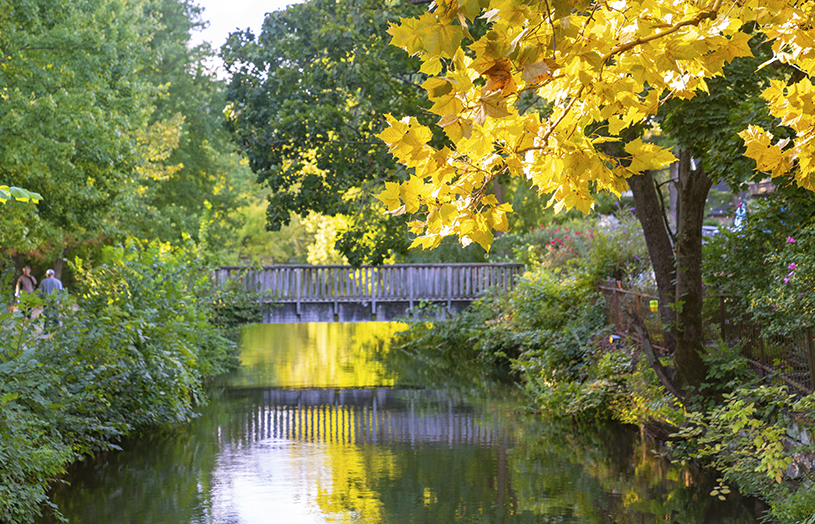 visit lambertville nj